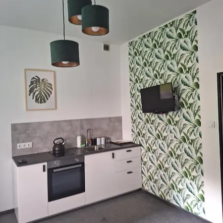 Na Pańskiej 9 Apartament *